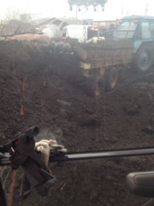 Купить торф Дмитров